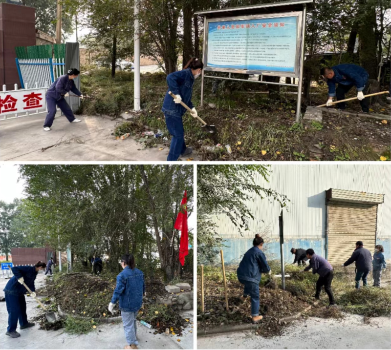 公司兩級黨組織 團支部聯合行動 組織開展&ldquo;清除雜草 美化環(huán)境&rdquo; 主題黨日 團日活動